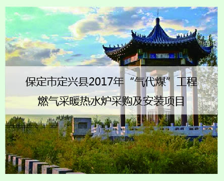 保定定興縣案例