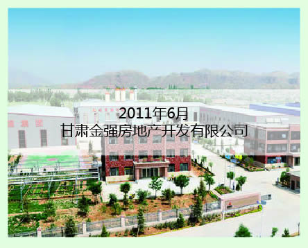 甘肅金強工程案例