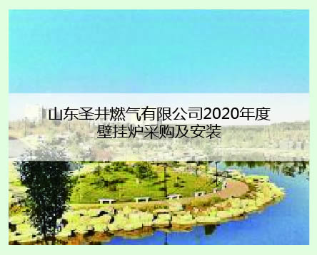 山東聖井案例