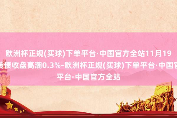 欧洲杯正规(买球)下单平台·中国官方全站11月19日文科转债收盘高潮0.3%-欧洲杯正规(买球)下单平台·中国官方全站