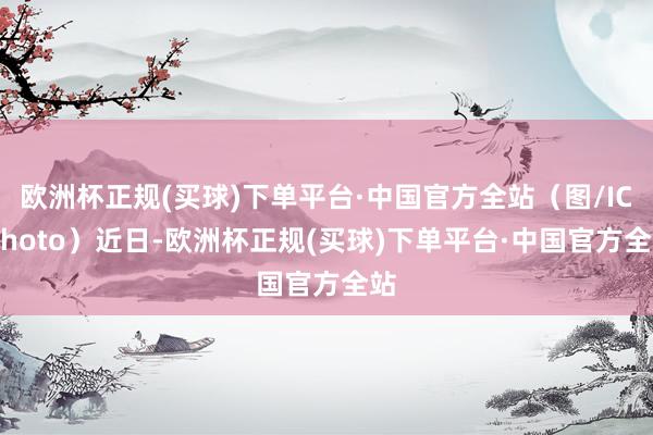 欧洲杯正规(买球)下单平台·中国官方全站（图/IC photo）近日-欧洲杯正规(买球)下单平台·中国官方全站