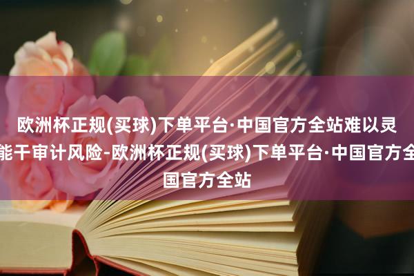 欧洲杯正规(买球)下单平台·中国官方全站难以灵验能干审计风险-欧洲杯正规(买球)下单平台·中国官方全站