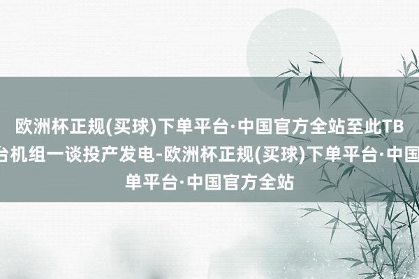 欧洲杯正规(买球)下单平台·中国官方全站至此TB水电站4台机组一谈投产发电-欧洲杯正规(买球)下单平台·中国官方全站