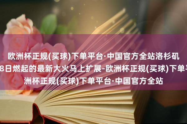 欧洲杯正规(买球)下单平台·中国官方全站洛杉矶地标好莱坞山隔邻8日燃起的最新大火马上扩展-欧洲杯正规(买球)下单平台·中国官方全站