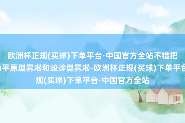 欧洲杯正规(买球)下单平台·中国官方全站不错把雾凇景不雅分为平原型雾凇和峻岭型雾凇-欧洲杯正规(买球)下单平台·中国官方全站