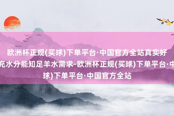 欧洲杯正规(买球)下单平台·中国官方全站真实好吗？虽说补充水分能知足羊水需求-欧洲杯正规(买球)下单平台·中国官方全站