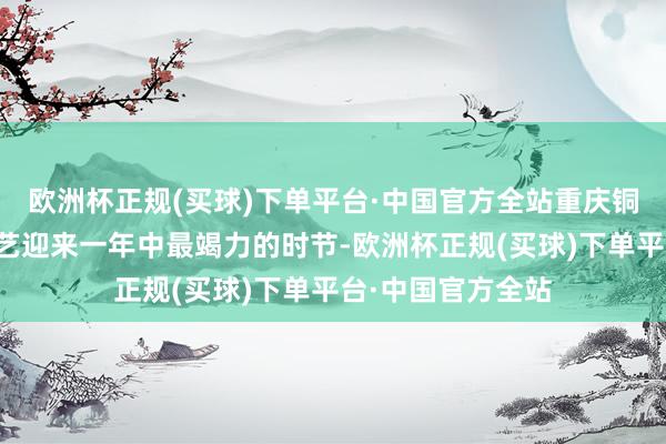 欧洲杯正规(买球)下单平台·中国官方全站重庆铜梁的龙灯彩扎工艺迎来一年中最竭力的时节-欧洲杯正规(买球)下单平台·中国官方全站