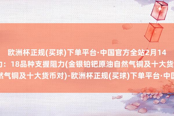 欧洲杯正规(买球)下单平台·中国官方全站2月14日好意思市更新支握阻力：18品种支握阻力(金银铂钯原油自然气铜及十大货币对)-欧洲杯正规(买球)下单平台·中国官方全站