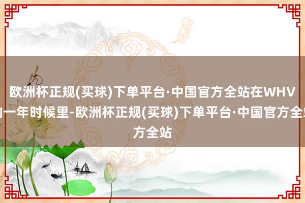欧洲杯正规(买球)下单平台·中国官方全站在WHV的一年时候里-欧洲杯正规(买球)下单平台·中国官方全站