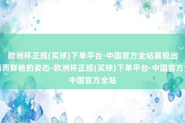 欧洲杯正规(买球)下单平台·中国官方全站展现出冷情而鲜艳的姿态-欧洲杯正规(买球)下单平台·中国官方全站
