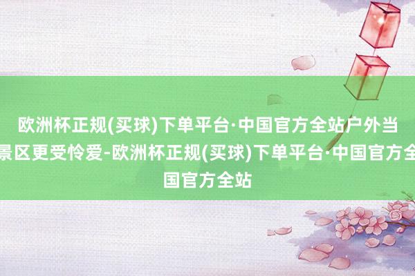 欧洲杯正规(买球)下单平台·中国官方全站户外当然景区更受怜爱-欧洲杯正规(买球)下单平台·中国官方全站