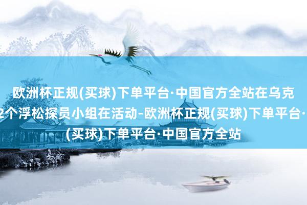 欧洲杯正规(买球)下单平台·中国官方全站在乌克兰境内共有92个浮松探员小组在活动-欧洲杯正规(买球)下单平台·中国官方全站