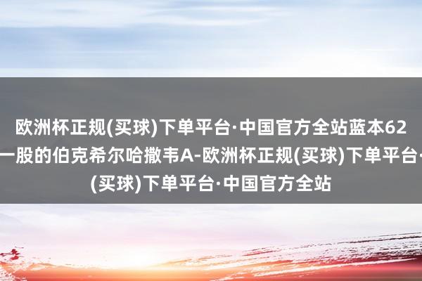 欧洲杯正规(买球)下单平台·中国官方全站蓝本62.6万好意思金一股的伯克希尔哈撒韦A-欧洲杯正规(买球)下单平台·中国官方全站
