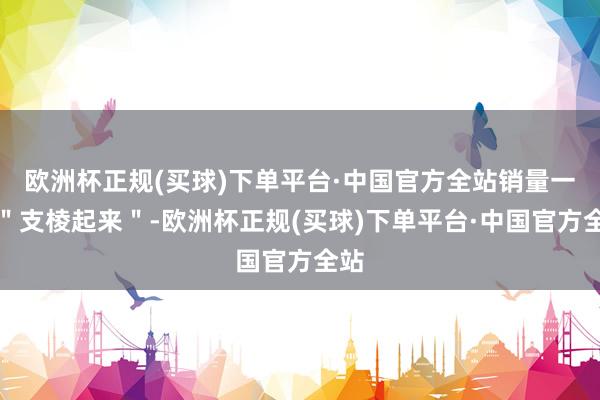 欧洲杯正规(买球)下单平台·中国官方全站销量一直＂支棱起来＂-欧洲杯正规(买球)下单平台·中国官方全站