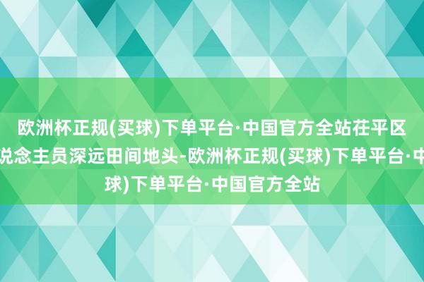 欧洲杯正规(买球)下单平台·中国官方全站茌平区组织农技东说念主员深远田间地头-欧洲杯正规(买球)下单平台·中国官方全站