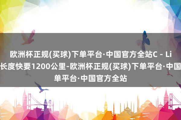 欧洲杯正规(买球)下单平台·中国官方全站C - Lion1电缆长度快要1200公里-欧洲杯正规(买球)下单平台·中国官方全站