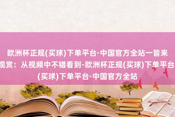 欧洲杯正规(买球)下单平台·中国官方全站一皆来望望吧！视频观赏：从视频中不错看到-欧洲杯正规(买球)下单平台·中国官方全站